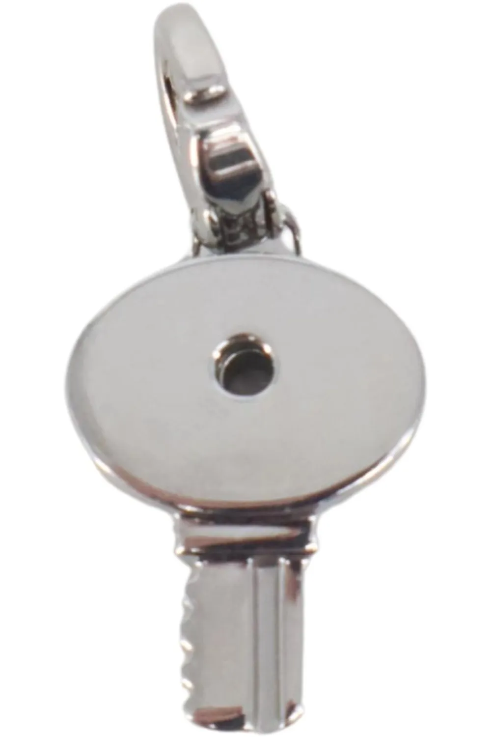 Anhänger-Fossil Hot