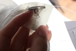 Anzüge><noscript><img width=