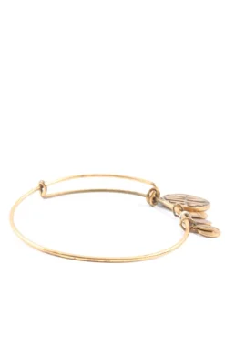 Armreif-Alex and Ani Discount