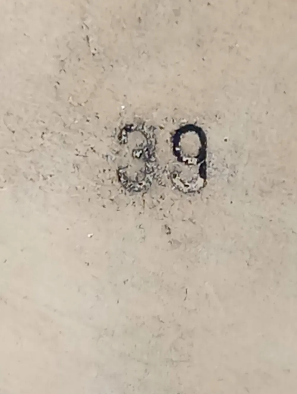 Cap Toes Größe 39-Alba Moda Sale