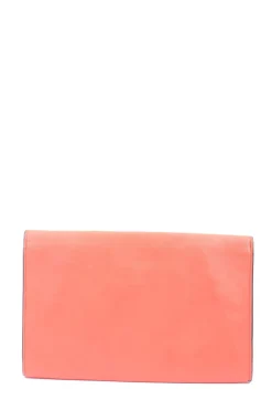 Clutch-Zara Trafaluc