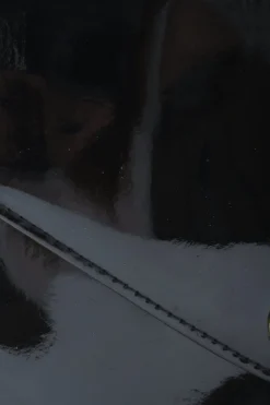 Clutches><noscript><img width=