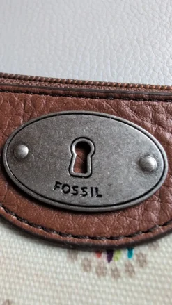 Clutch-Fossil Outlet