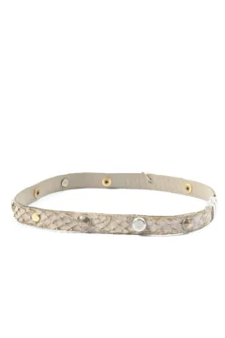 Colliers><noscript><img width=