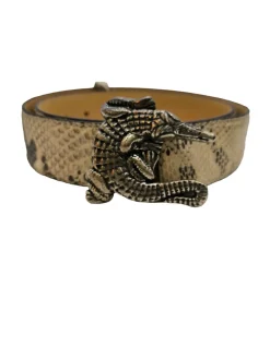 Gürtelschnalle-Reptileu2019s House Online