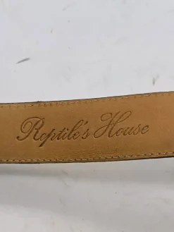 Gürtelschnalle-Reptileu2019s House Online