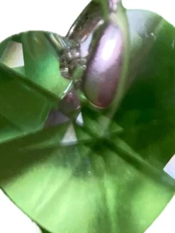 Ketten><noscript><img width=