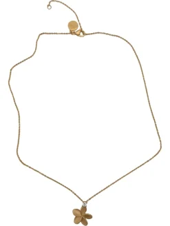 Ketten> Kette goldfarben