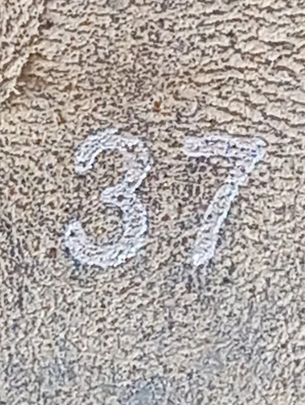 Stiefel>Shoot Kurzstiefel Größe 37 braun