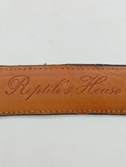 Gürtel><noscript><img width=