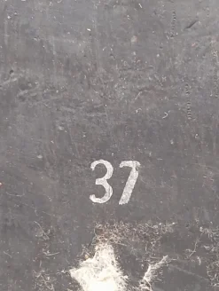 Oxford Größe 37-Drievholt Online