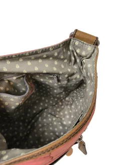 Planentasche-Fossil Hot