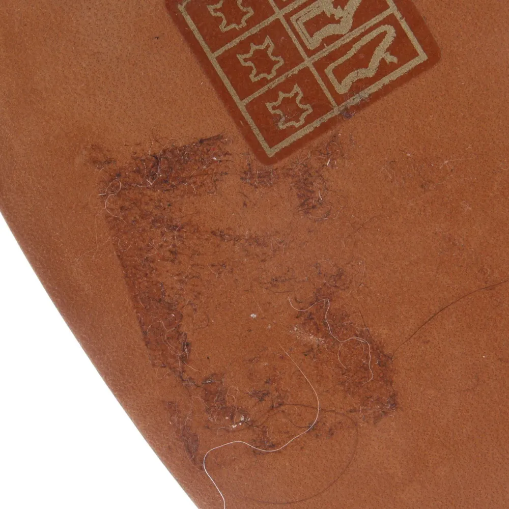 Pumps>Proenza schouler Pumps Größe 37,5 rot