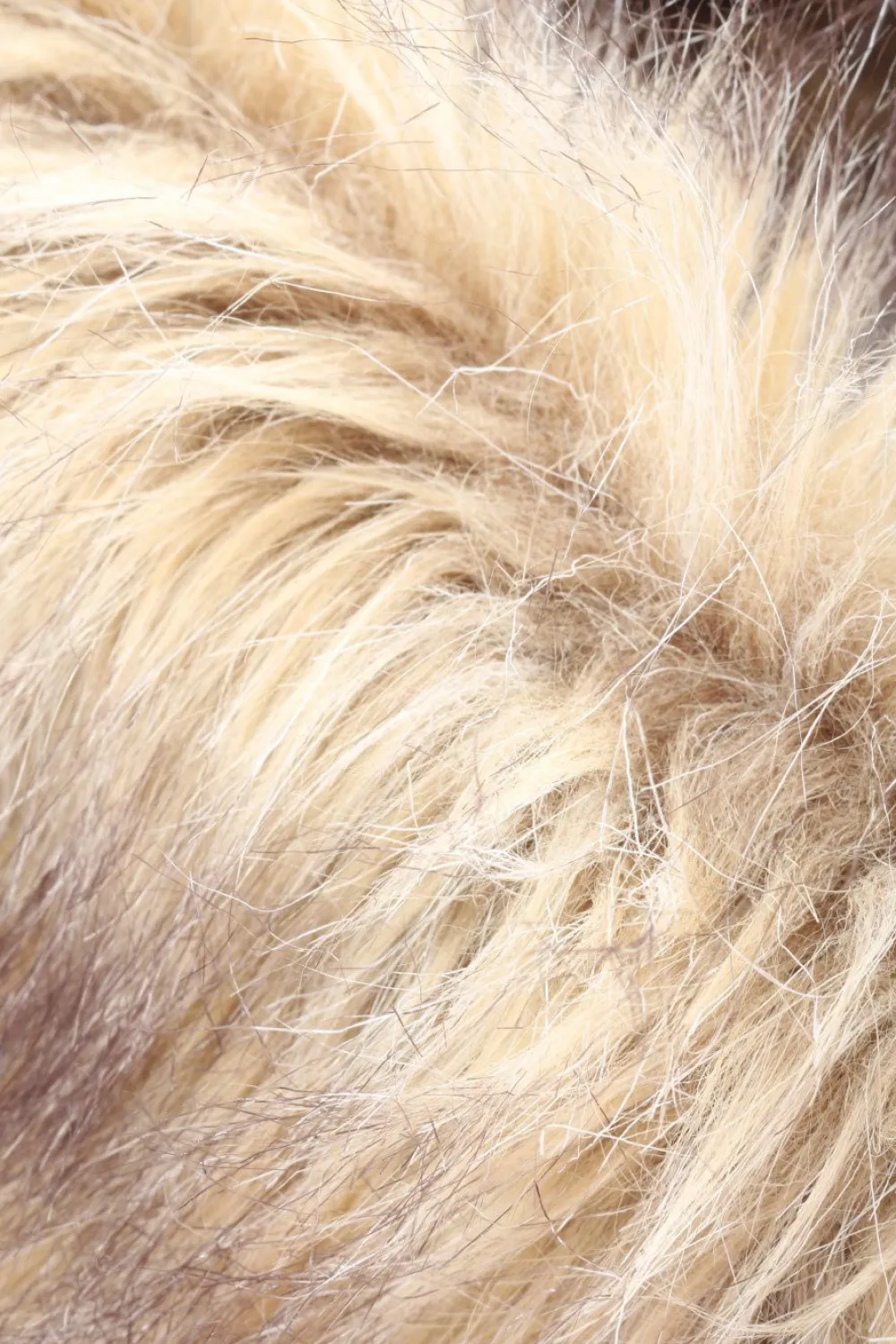 Schlauchschal-Asos Outlet