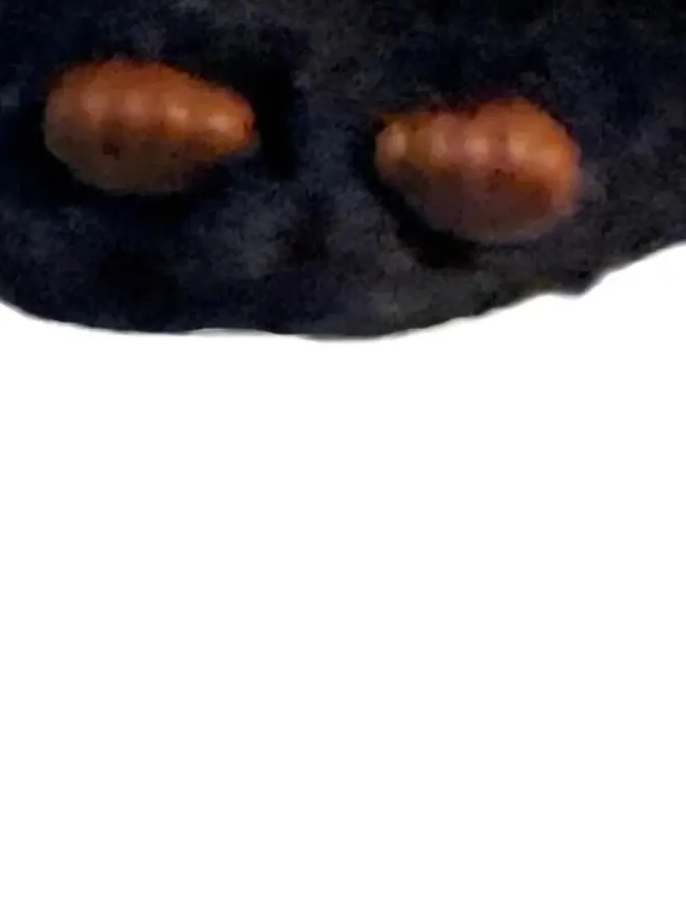 Schlüsselanhänger-