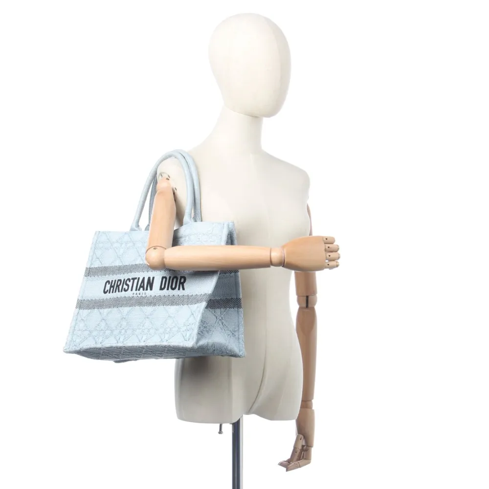 Shopper-Dior Clearance