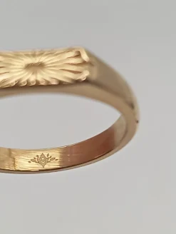 Ringe><noscript><img width=