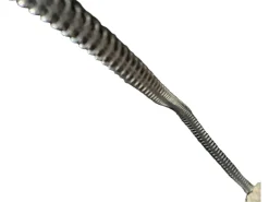 Stiefel Größe 40- Sale