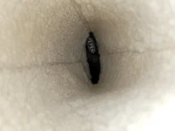 Stiefel><noscript><img width=