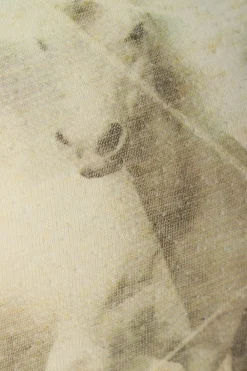 Shirts><noscript><img width=