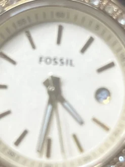 Uhr-Fossil Online