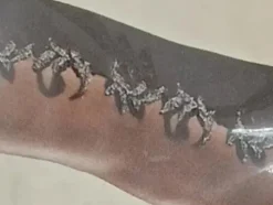 Dessous><noscript><img width=